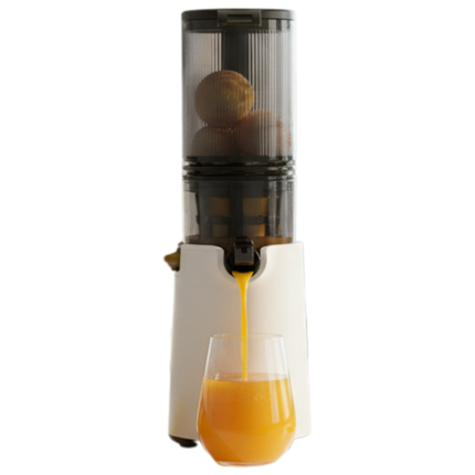 Heavy Duty Electric Cold Press Juicer 150W Quiet Motor Slow Speed Fruit and Vegetable Processor