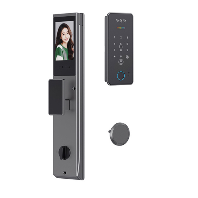 Smart WiFi Fingerprint Door Lock with 3D Face Recognition, Password, Card and Key Access