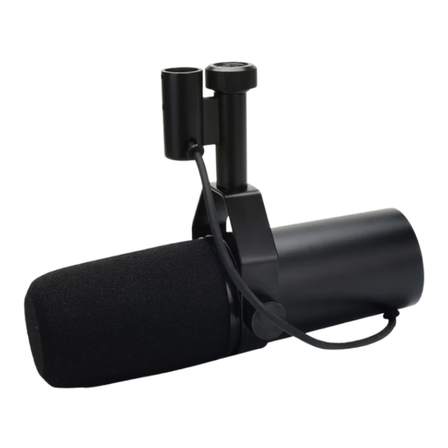Professional XLR Dynamic Vocal Microphone for Studio Recording, Streaming & Gaming Setup
