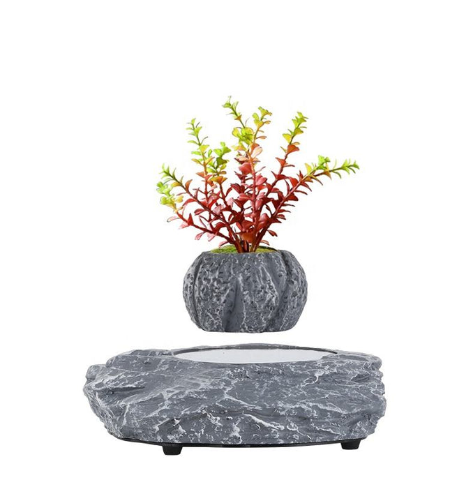 Levitating Floating Planter with Rotating Grey Resin Pot – Modern Indoor Desk & Home Decor