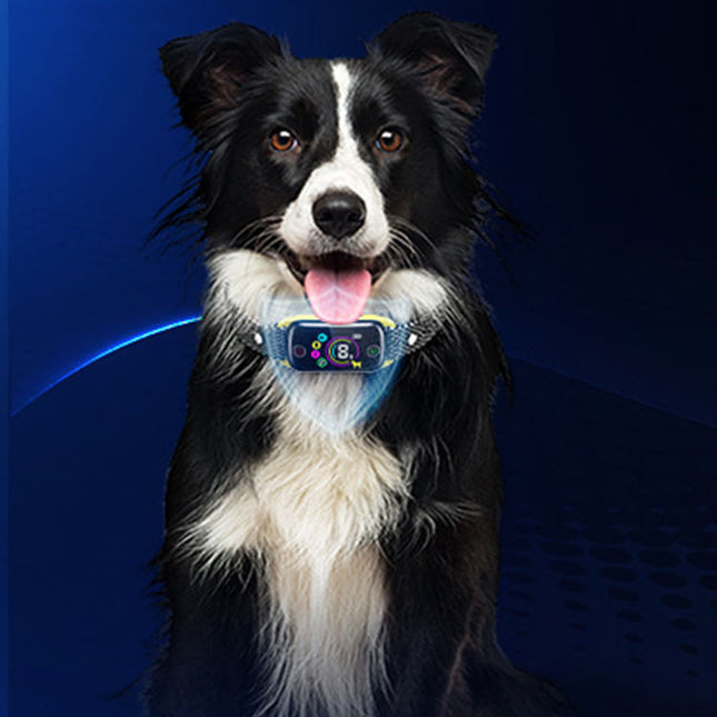 Waterproof Rechargeable Bark Control Collar for Dogs 6–150lbs with Adjustable Nylon Strap IP67 Rated