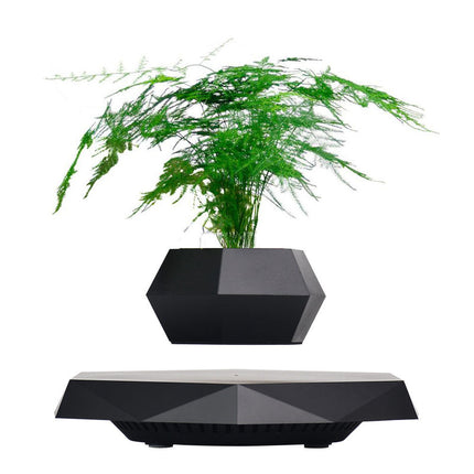 Floating Levitating Bonsai Planter with Rotating Ceramic Pot – Modern Indoor Plant Display