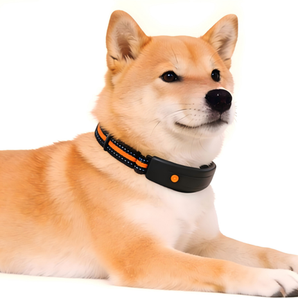 Waterproof Pet Health and Activity Tracker with 4G LTE, Electronic Fence and Live Monitoring