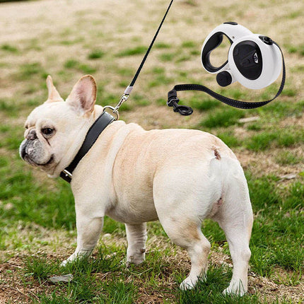 USB Rechargeable LED Pet Leash with 7 Hour Light Runtime for Safe Night Walks