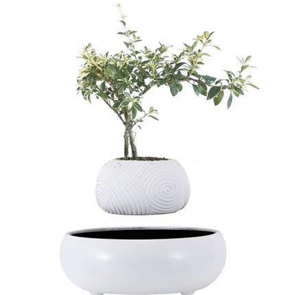 Floating Levitating Resin Planter with Ceramic-Style Base – Rotating Hovering Bonsai Pot for Home and Office Décor