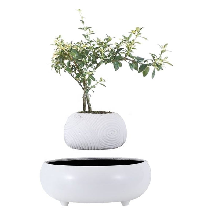 Floating Levitating Resin Planter with Ceramic-Style Base – Rotating Hovering Bonsai Pot for Home and Office Décor