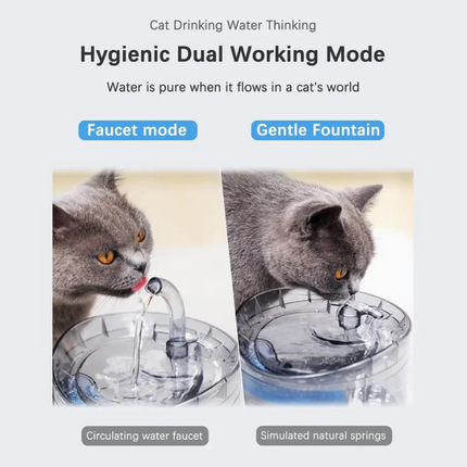 2L Pet Water Fountain with Silent Adjustable Pump and Multi-Stage Filtration