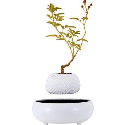 Floating Levitating Resin Planter with Ceramic-Style White Base Rotating Bonsai