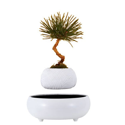 Floating Levitating Resin Planter with Ceramic-Style Base – Rotating Hovering Bonsai Pot for Home and Office Décor