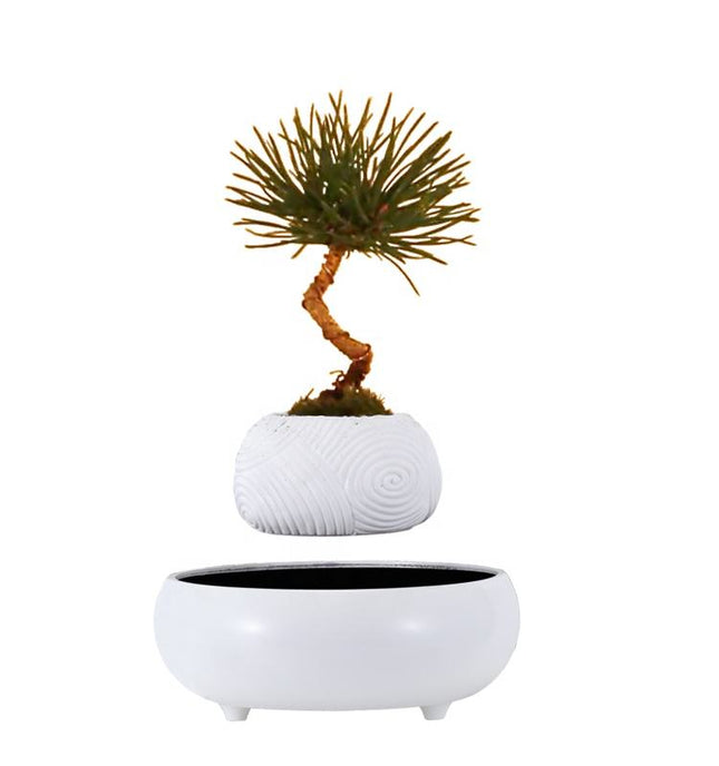 Floating Levitating Resin Planter with Ceramic-Style Base – Rotating Hovering Bonsai Pot for Home and Office Décor