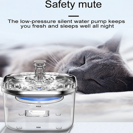 2L Pet Water Fountain with 304 Stainless Steel Dish and Multi-Stage Filtration