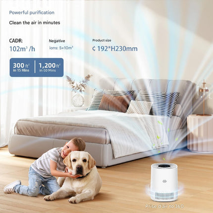 Smart Portable Air Purifier with H13 HEPA Filter, Touch Control, Timer and 3 Speed Settings