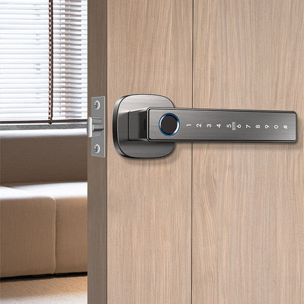 Cordless Semiconductor Fingerprint Smart Handle Lock with Fast <0.5s Unlock, Bluetooth & 50 User Capacity