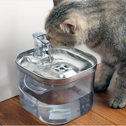 2L Pet Water Fountain with 304 Stainless Steel Dish and Multi-Stage Filtration
