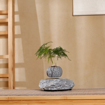 Levitating Floating Planter with Rotating Grey Resin Pot – Modern Indoor Desk & Home Decor