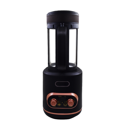 Portable Electric Coffee Bean Roaster 100g with Adjustable Time & Temperature Controls