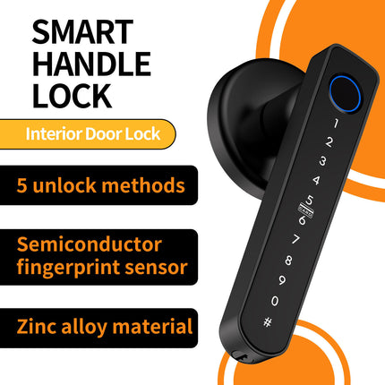 Smart Fingerprint Door Handle Lock 5-in-1 Bluetooth Passcode IC Card Keyless Entry