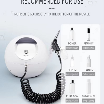 Portable High Pressure Oxygen Facial Spray Gun for Skin Hydration and Rejuvenation