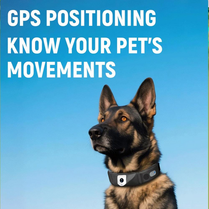 4G Pet Training Collar with HD Camera, Live Video, Voice Intercom, IP66 Waterproof Rechargeable Collar