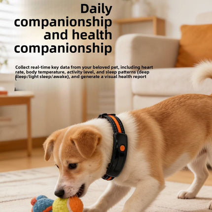 Waterproof Pet Health and Activity Tracker with 4G LTE, Electronic Fence and Live Monitoring