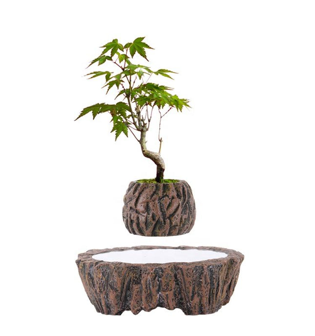 Floating Resin Bonsai Planter with Rotating Magnetic Base – Modern Levitating Flower Pot for Home and Office