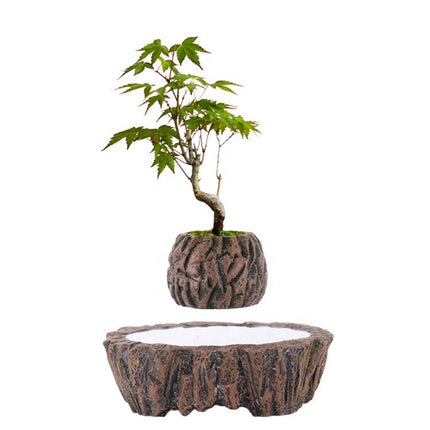 Floating Levitating Bonsai Planter with Rotating Base for Home Office Decoration