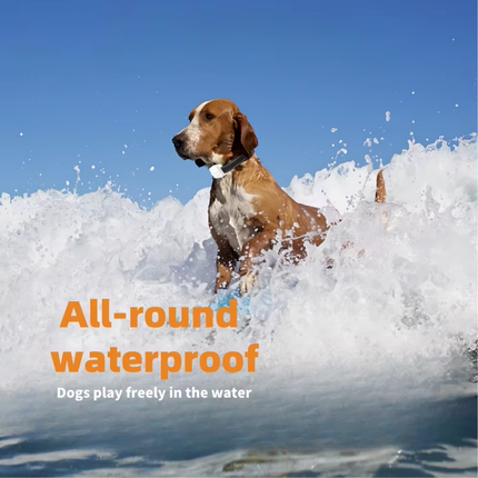 Waterproof Rechargeable Anti Bark Collar with Sound, Vibration & Shock Training, 800m Range