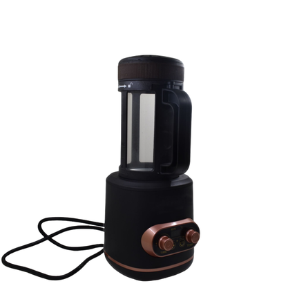 Portable Electric Coffee Bean Roaster 100g with Adjustable Time & Temperature Controls