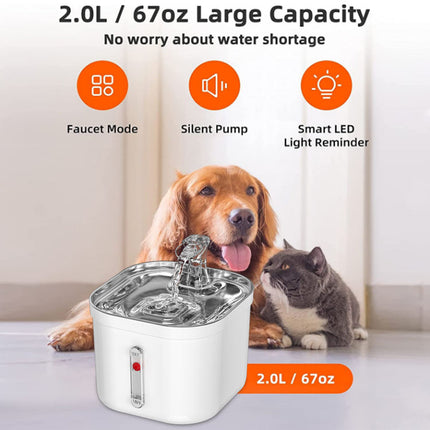 2L Stainless Steel Pet Water Fountain with Adjustable Silent Pump and Multi-Stage Purification