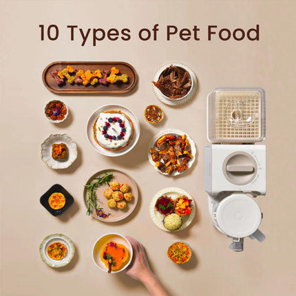 Multifunction Pet Food Maker with Steam Cooking and Drying for Homemade Dog & Cat Meals