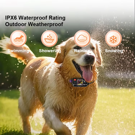 Rechargeable Pet Training Collar for Dogs with Remote Control, Sound Vibration Shock, IP67 Waterproof