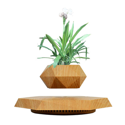 Floating Levitating Bonsai Planter with Rotating Ceramic Pot – Modern Indoor Plant Display