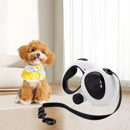 USB Rechargeable LED Pet Leash with 7 Hour Light Runtime for Safe Night Walks