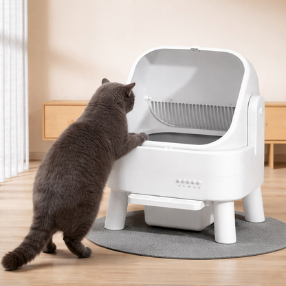 Automatic Extra-Large Cat Litter Box with Smart Cleaning System – 80L Spacious Open Design