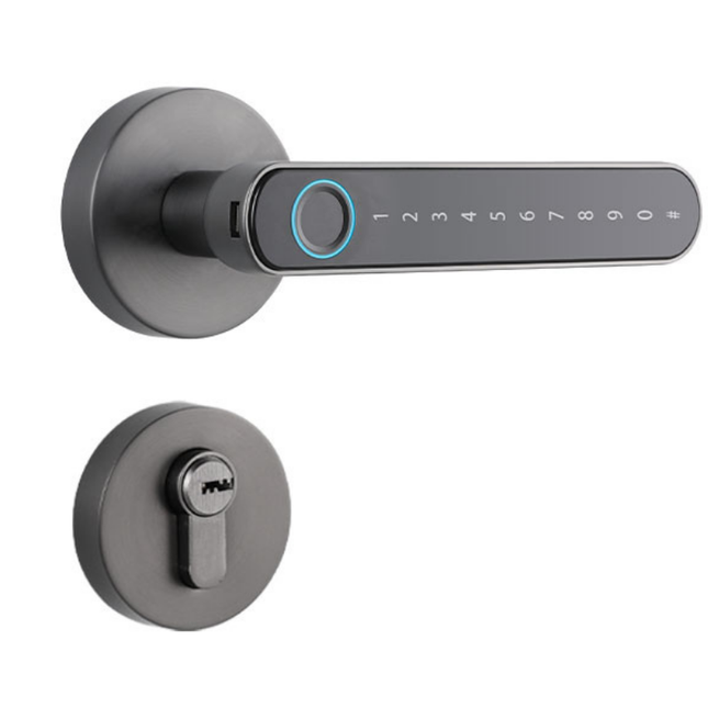 Waterproof Smart Fingerprint Door Handle Lock with App Control, Password Access and Key Entry System