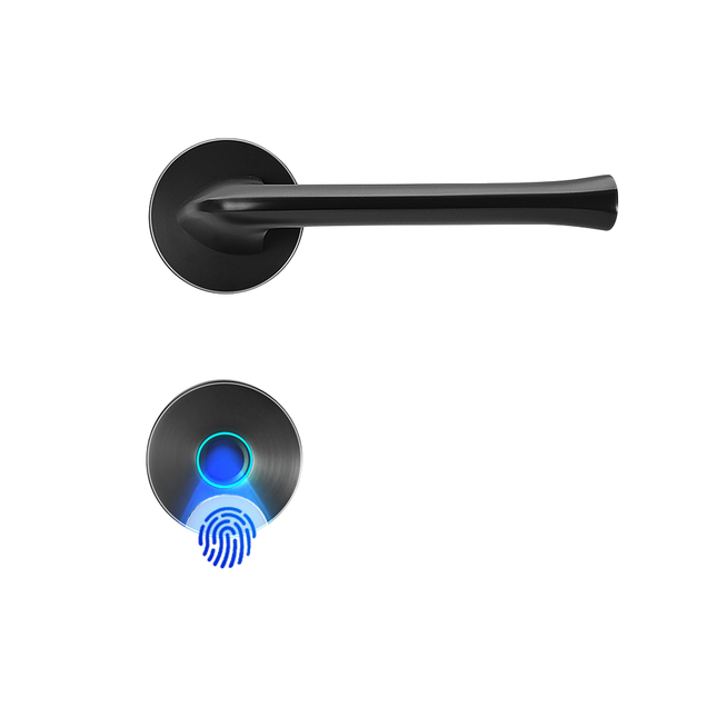 Keyless Fingerprint Door Lock with IC Card, Passcode & Key Access, Zinc Alloy Handle