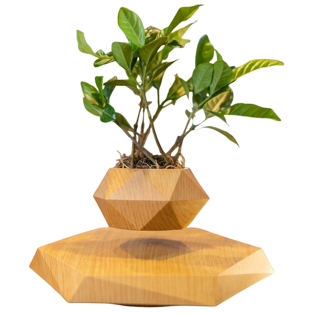 Levitating Rotating Plant Pot – USB Powered Anti-Gravity Desktop Decor