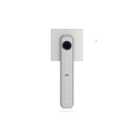 5-in-1 Smart Door Handle Lock with Fingerprint Sensor, Passcode, Card & Key, Reversible Handle
