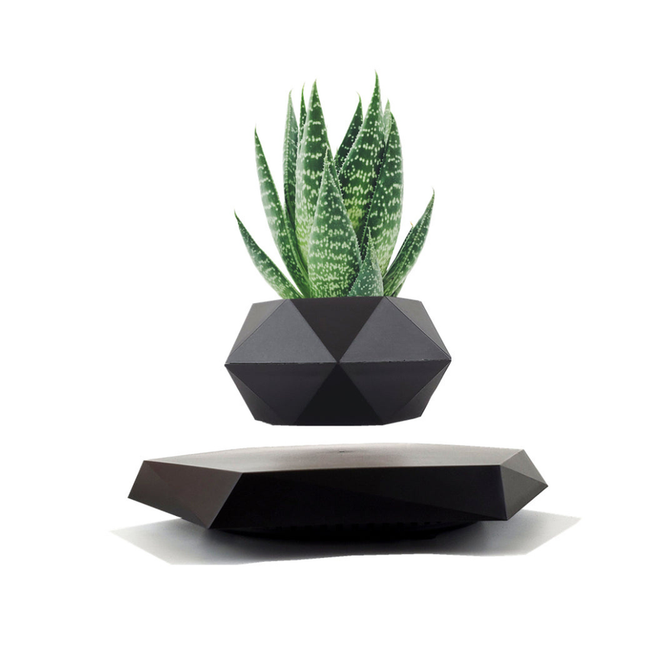 Magnetic Floating Air Bonsai Pot Modern Levitating Indoor Planter for Home & Office