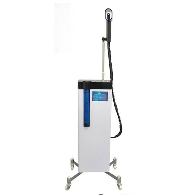 Full Automatic Nano Hair Steamer with 650ml Tank and Adjustable 360° Hood