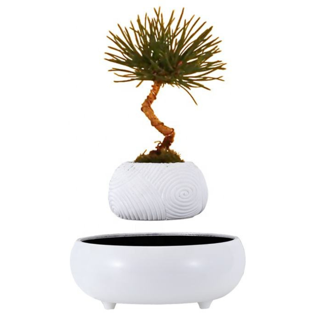 Floating Levitating Resin Planter with Ceramic-Style White Base Rotating Bonsai