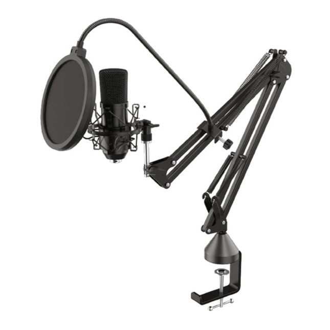 Professional Condenser Mic Kit with Pop Filter, Boom Arm & XLR Cable for Recording & Podcasting