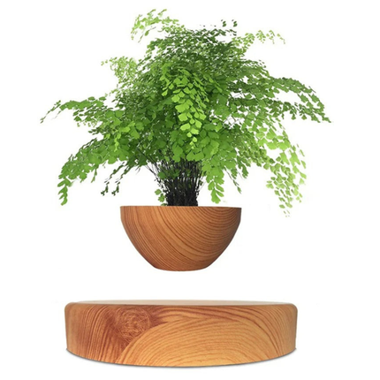 Floating Levitating Bonsai Planter with Rotating Wooden Stand for Home Office Decor