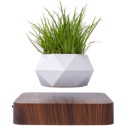 Modern Floating Air Planter with Wooden Base Stylish Indoor Bonsai Pot