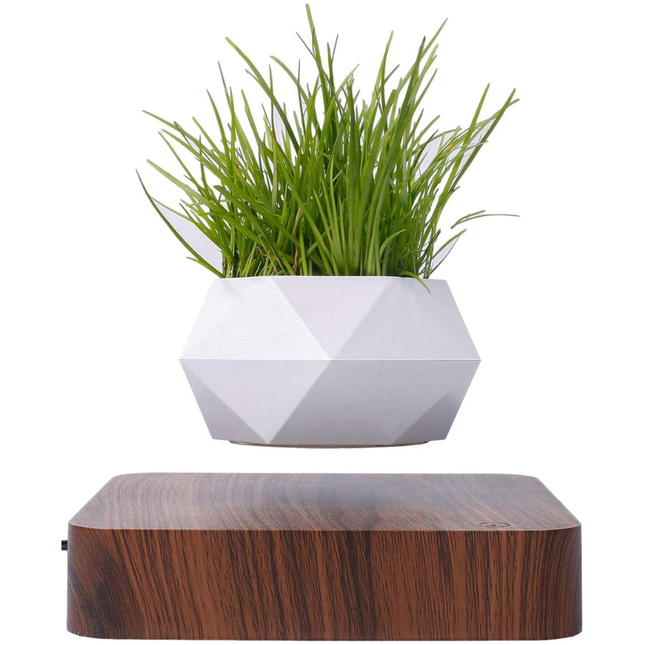 Modern Floating Air Planter with Wooden Base Stylish Indoor Bonsai Pot