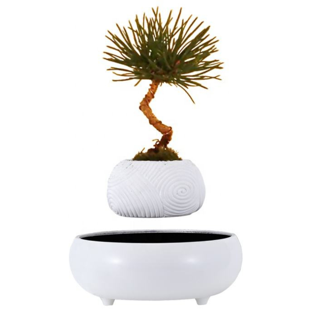 Floating Levitating Resin Planter White Ceramic Style Base Hovering Bonsai Pot Home Decor
