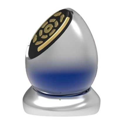 Rechargeable 3-Mode EMS Facial Massager with RF, Vibration, LED Light & Temperature Control
