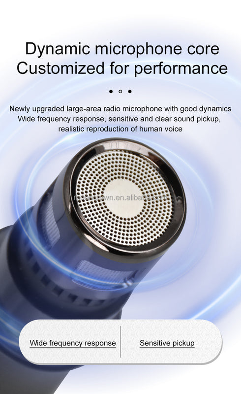 Dual Wireless Microphone System with Receiver – 80m Range, Adjustable Frequency, Clear Audio