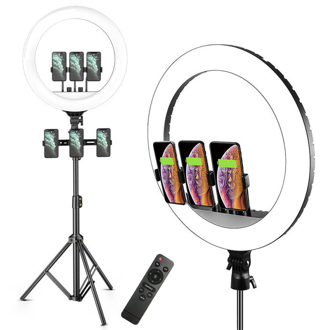 54cm LED Ring Light with Adjustable Brightness & Color Temperature, Stand, Remote, and Carry Bag