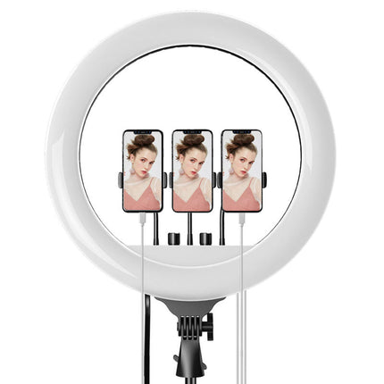 54cm LED Ring Light with Adjustable Brightness & Color Temperature, Stand, Remote, and Carry Bag